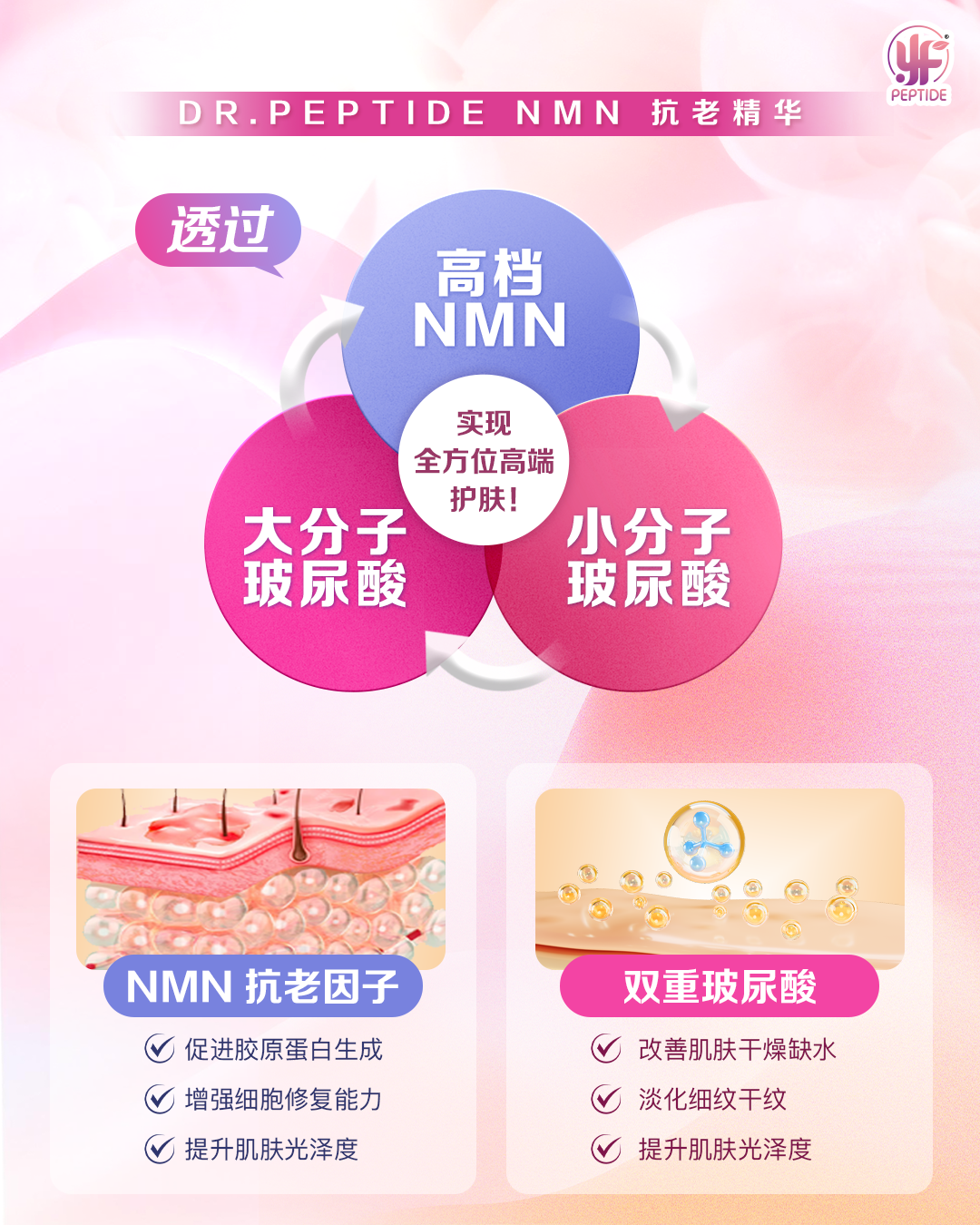 Dr.Peptide NMN Concentrated Serum